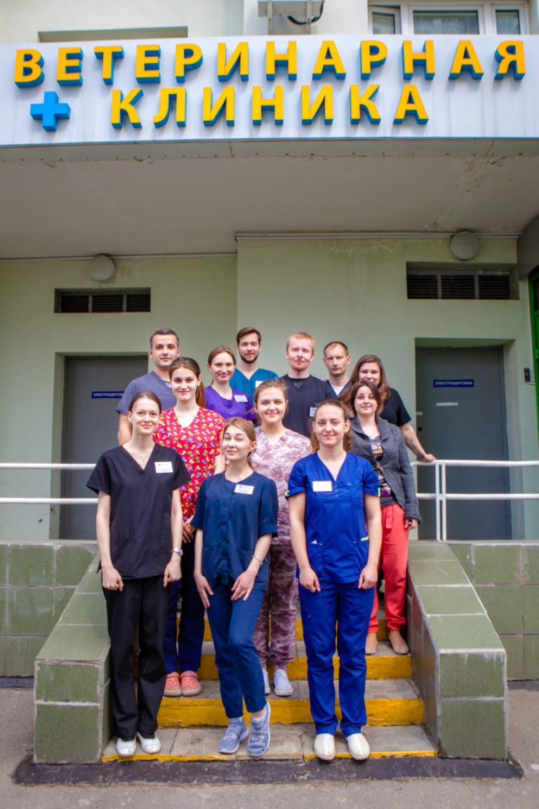 Айболит Плюс на Пятницком