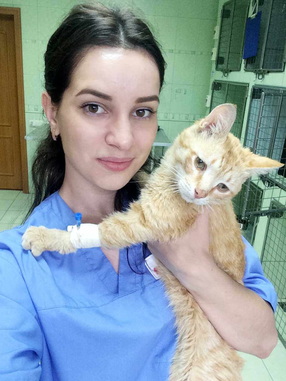 К9-Вет на Свободе