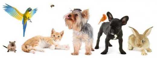 Maru-vnukovo на Интернациональной