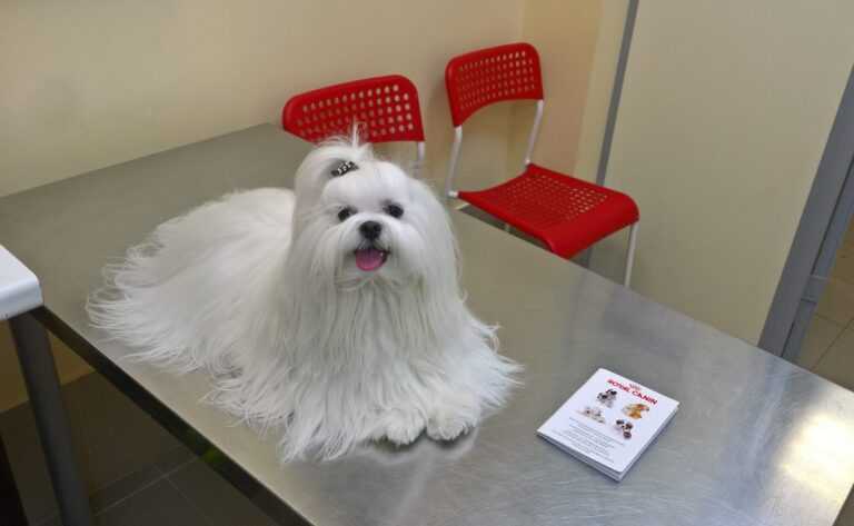 Фото клиники