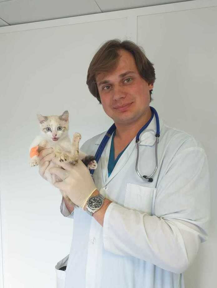 Ветцентр ТИМ