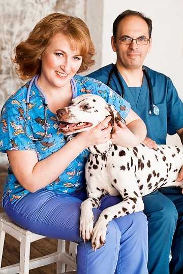 Чеширский кот