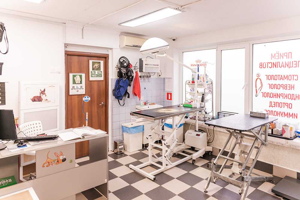 Ветеринарный центр на Молодцова