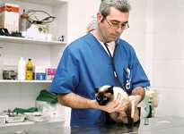 Ветеринарный центр Vet-Planet