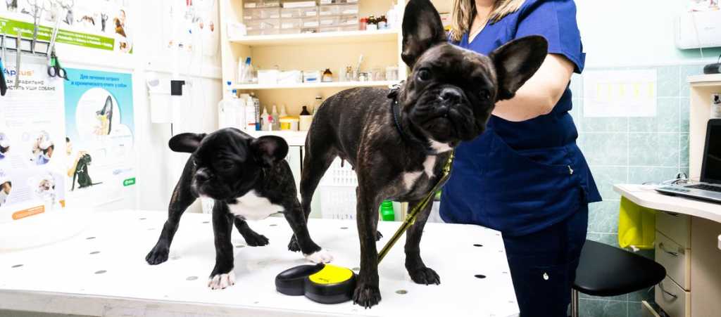 Фото клиники