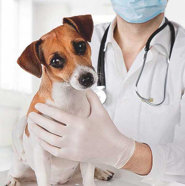 Высота на Фонвизина