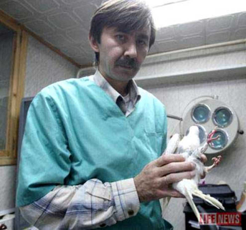 Зеленый попугай