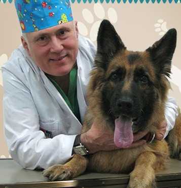 ЗооАкадемия